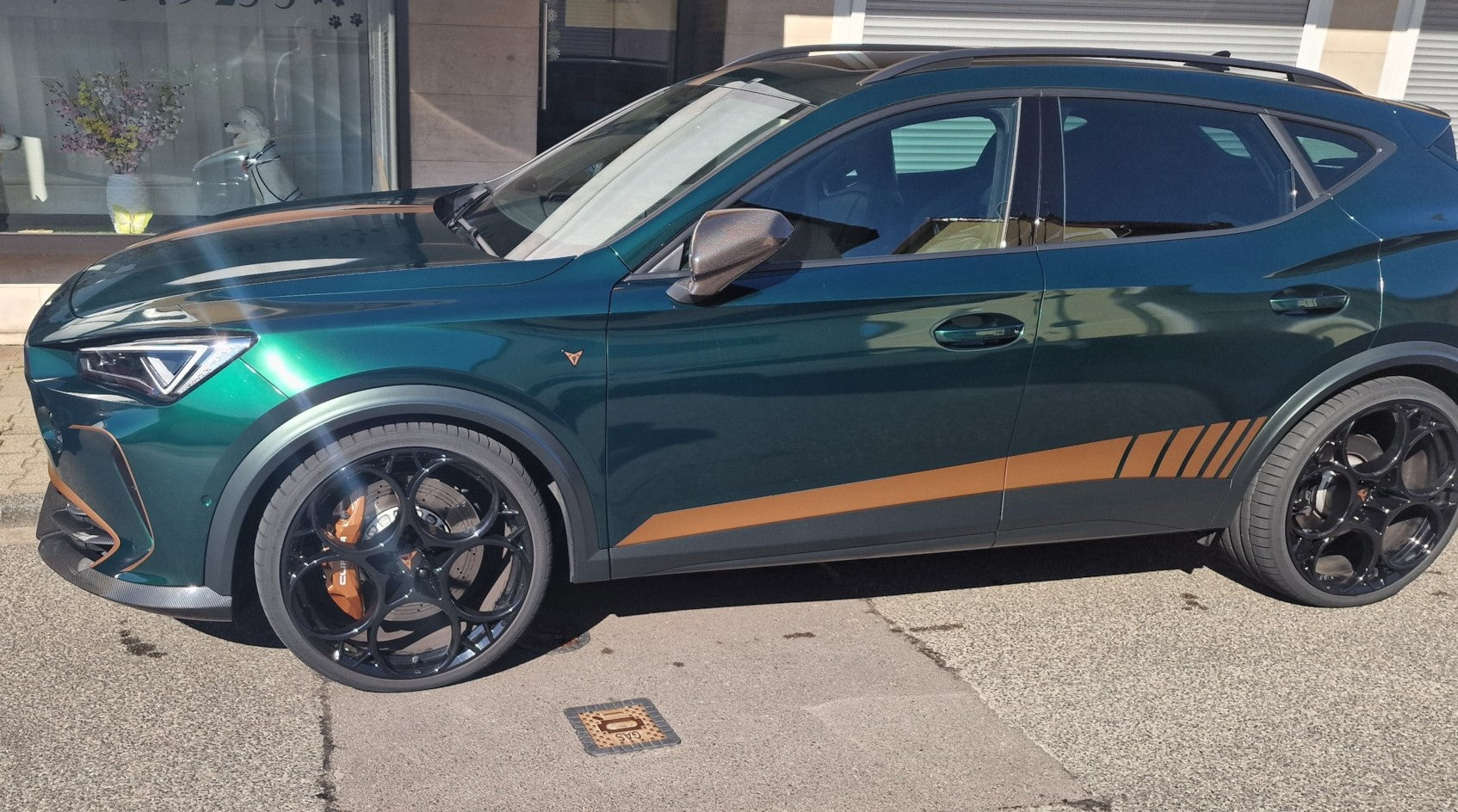 Cupra Emblem Set für die Kotflügel