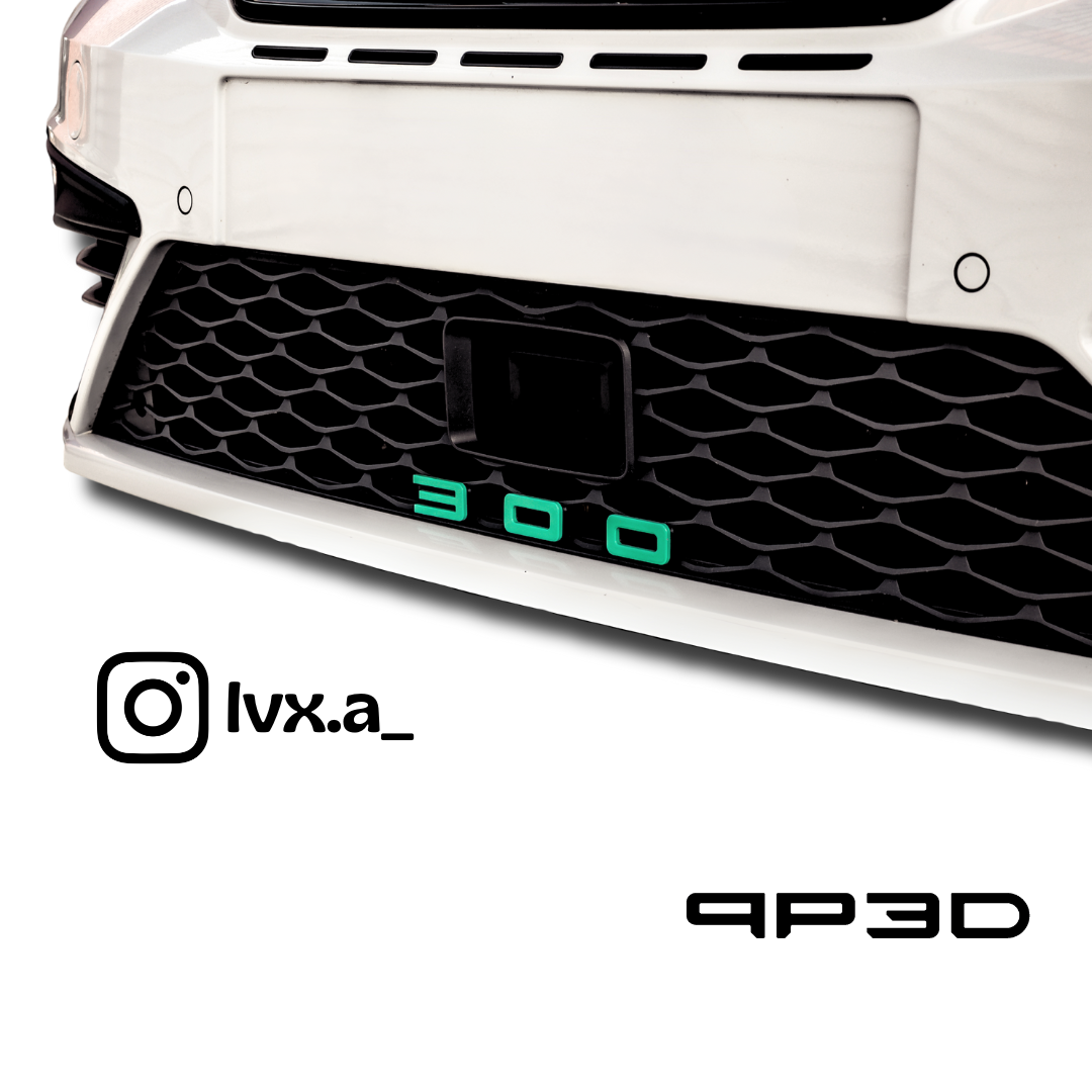 Custom-Made 300 Schriftzug in Mint