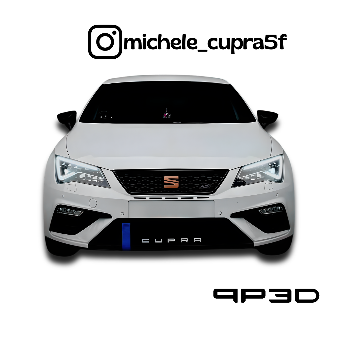 Cupra Schriftzug in Wunschlackierung Nevada Weiss