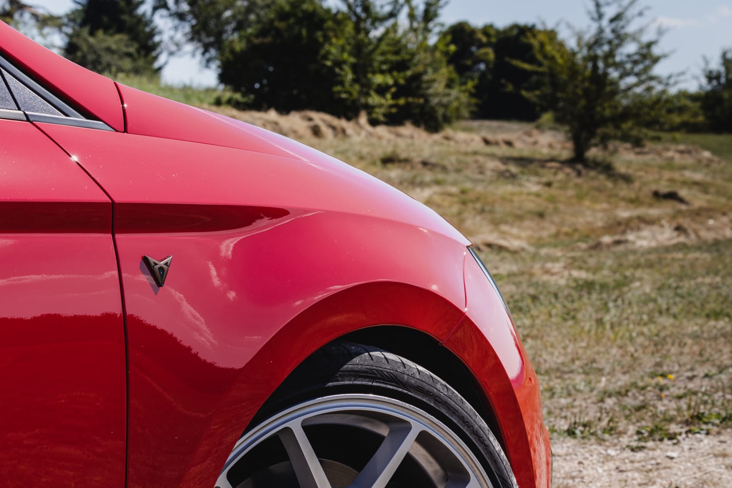 Cupra Emblem Set für die Kotflügel